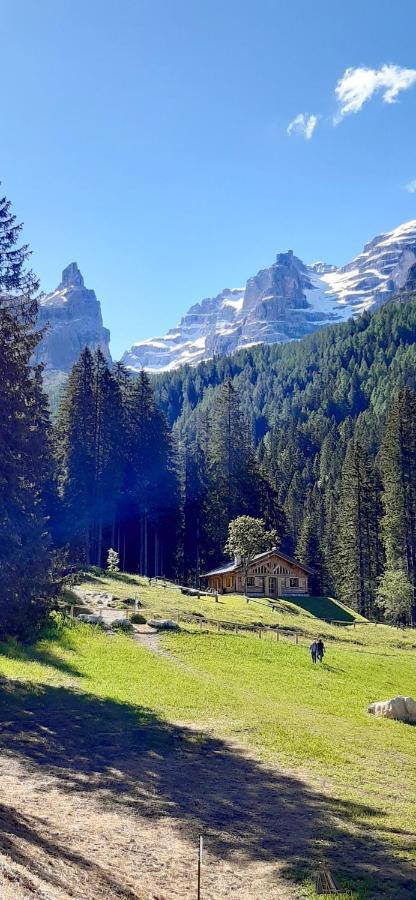 Chalet Brenta Dolomites Мадонна-ди-Кампильо Экстерьер фото