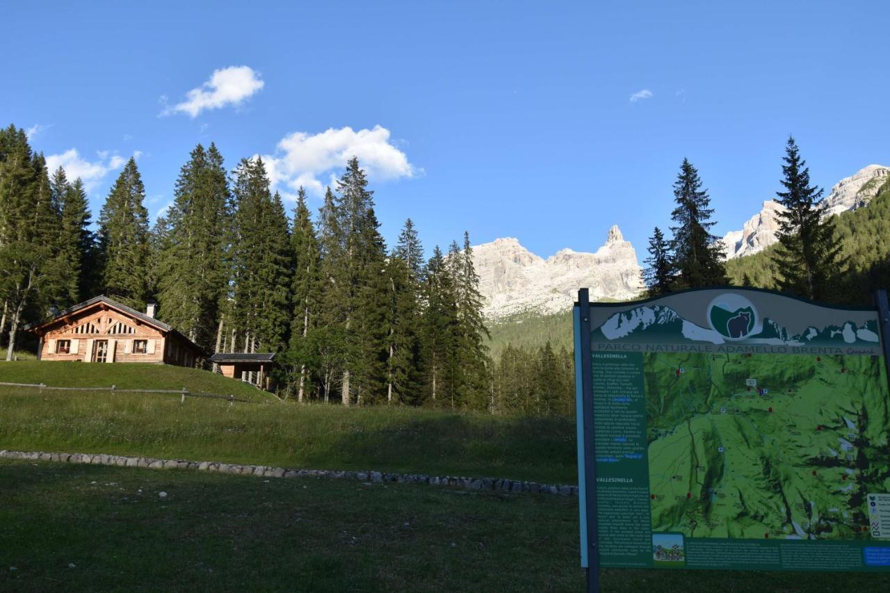 Chalet Brenta Dolomites Мадонна-ди-Кампильо Экстерьер фото