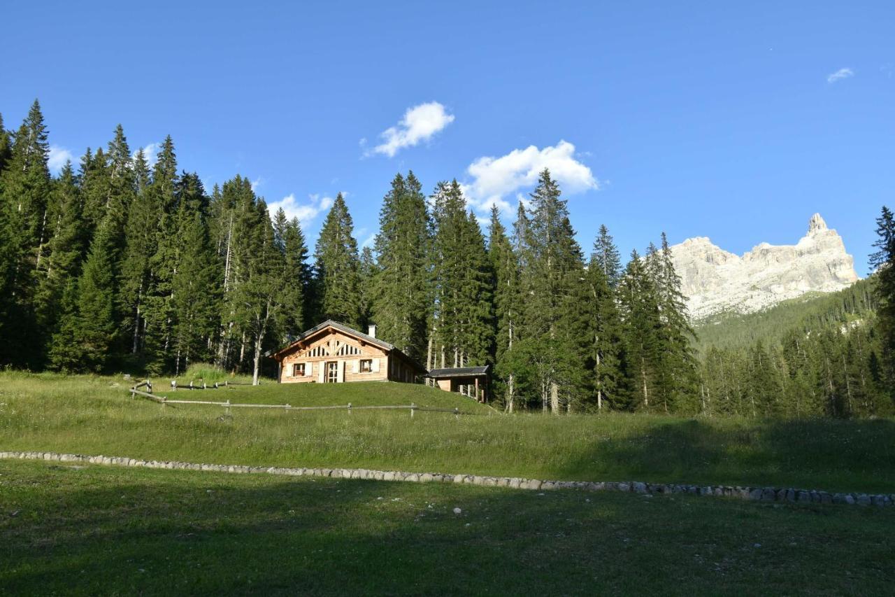 Chalet Brenta Dolomites Мадонна-ди-Кампильо Экстерьер фото