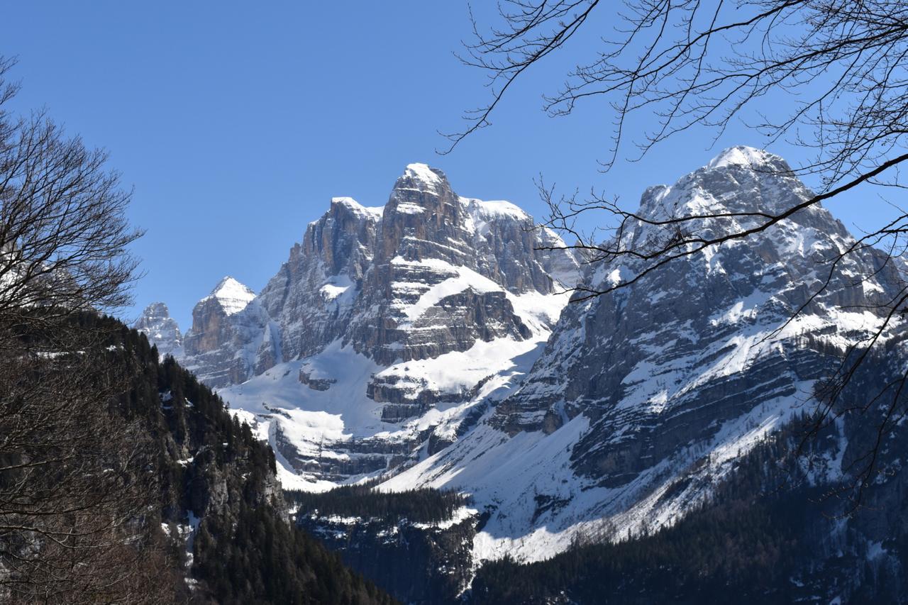 Chalet Brenta Dolomites Мадонна-ди-Кампильо Экстерьер фото