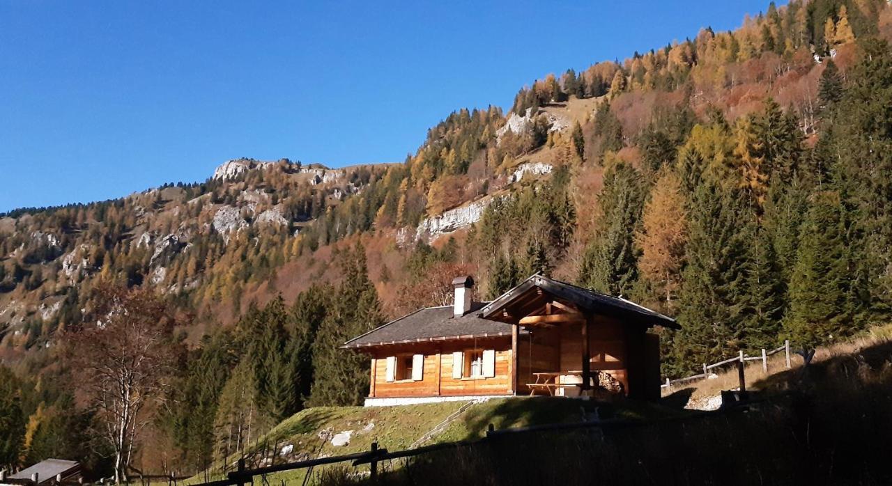 Chalet Brenta Dolomites Мадонна-ди-Кампильо Экстерьер фото